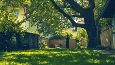 Tipps für Eigentümer: Wichtige Informationen zum Thema Nachbarschaftsrecht